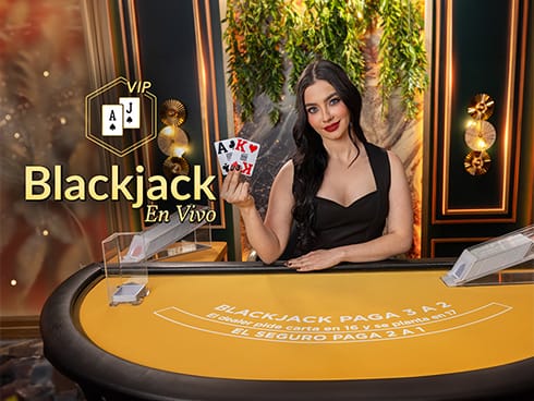 VIP Blackjack en Español 4 icon